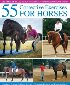 TRAFALGAR SQUARE Books & Dvds|55 Corrective Exercises for Horses