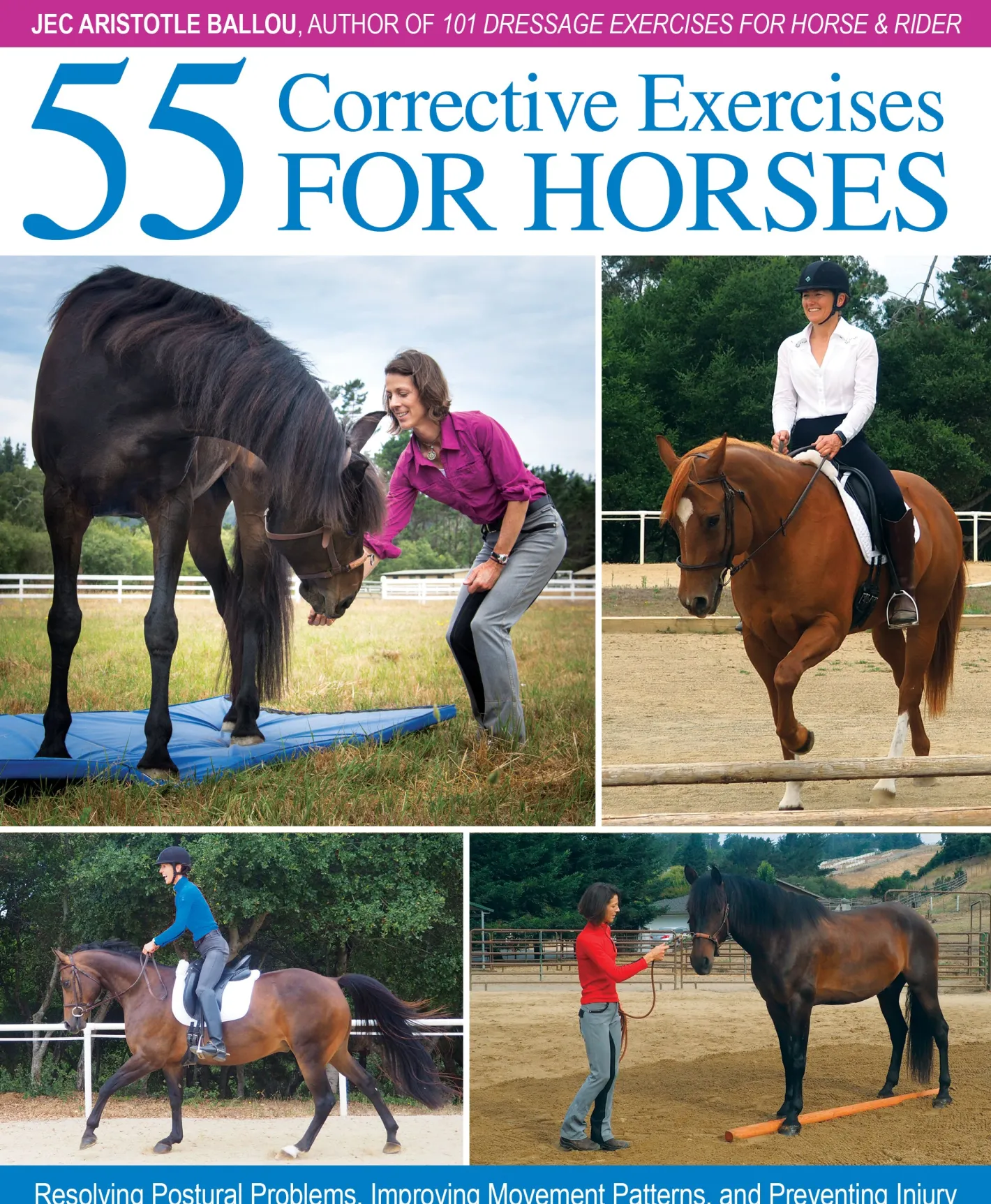 TRAFALGAR SQUARE Books & Dvds|55 Corrective Exercises for Horses