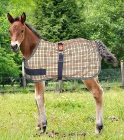 JACKS MFG Turnout Blankets|5/A Baker® Expand-O-Blanket Turnout for Foal & Pony