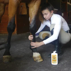 ANIMAL HEALTH INT Horse Liniments|Absorbine® Liniment Gel