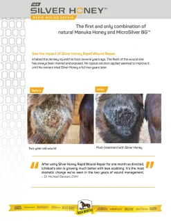 ANIMAL HEALTH INT First Aid Supplies|Absorbine® Silver Honey® Rapid Skin Relief Medicated Shampoo