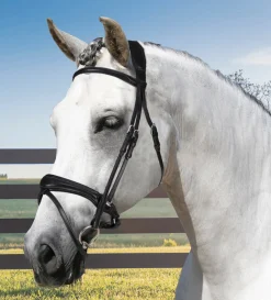 FRANTISI English Bridles|Acavallo® Maesta Bridle