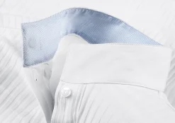 HORSEWARE Show Shirts|Alessandro Albanese Long Sleeve Aurora Shirt