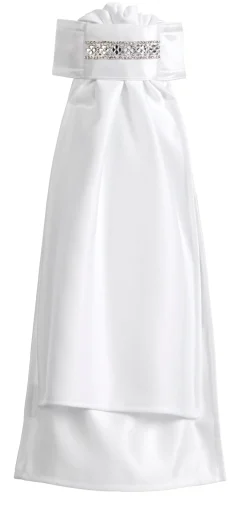 ALL TIED UP Show Accessories|Fancy Stock Tie