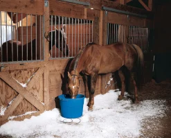 ANIMAL HEALTH INT Feed & Water Buckets|API® 20-Quart Heated Flatback Bucket