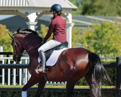 SADDLERY BRANDS INTL English Saddles|Arena Dressage Saddle