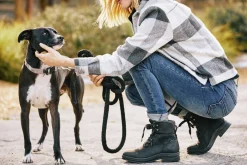 ARIAT Casual Shoes|Country & Muck Boots|® Ladies’ Harper Waterproof Boots