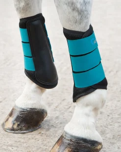 SHIRES EQUESTRIAN Horse Boots|ARMA Air Motion Brushing Boots