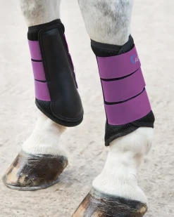 SHIRES EQUESTRIAN Horse Boots|ARMA Air Motion Brushing Boots