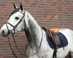 BACK ON TRACK BOT LL Close Contact Saddle Pads|Back on Track® All-Purpose Saddle Pad