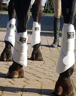 BACK ON TRACK BOT LL Therapy|Hoof & Hock Boots|Back on Track® 3D Mesh Splint Boots