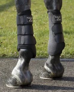 BACK ON TRACK BOT LL Therapy|Hoof & Hock Boots|Back on Track® 3D Mesh Splint Boots