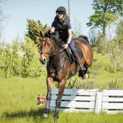 BACK ON TRACK BOT LL Horse Boots|Back on Track® Deep Nights Brush Boots