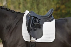 BACK ON TRACK BOT LL Dressage Pads|Close Contact Saddle Pads|Back on Track® Dressage Pad