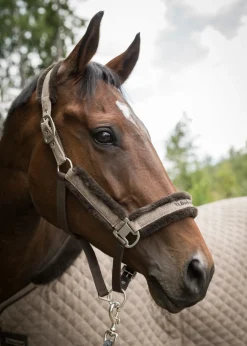 BACK ON TRACK BOT LL Halters|Back on Track® Haze Collection Halter