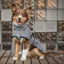 BACK ON TRACK BOT LL Dog Blankets|Back on Track® Nella Large Dog Coat