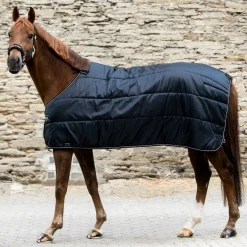 BACK ON TRACK BOT LL Blanket Liners|Back on Track® Rhyolite 100G Insulated Liner