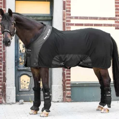 BACK ON TRACK BOT LL Stable Sheets|Back on Track® Royal Mesh Deluxe Sheet