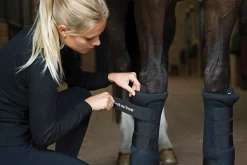 BACK ON TRACK BOT LL Therapy|Hoof & Hock Boots|Back on Track® Royal Quick Wraps