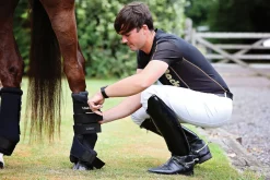 BACK ON TRACK BOT LL Therapy|Hoof & Hock Boots|Back on Track® Royal Quick Wraps