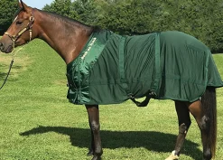 BACK ON TRACK BOT LL Stable Sheets|Back on Track® Therapeutic Mesh Horse Sheet