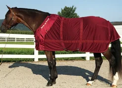 BACK ON TRACK BOT LL Stable Sheets|Back on Track® Therapeutic Mesh Horse Sheet