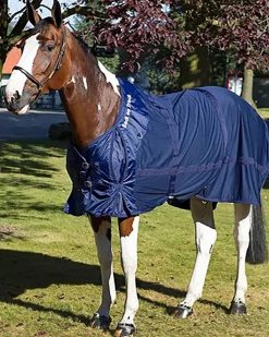 BACK ON TRACK BOT LL Stable Sheets|Back on Track® Therapeutic Mesh Horse Sheet