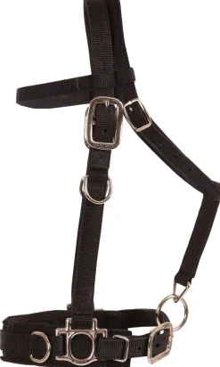 MUSTANG MFG Lunging & Training Equipment|Balance Complete Training System