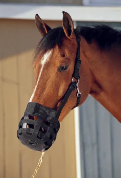 INTREPID INTL Cribbing & Muzzles|Best Friend® All-In-One Grazing Muzzle