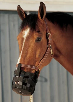 INTREPID INTL Cribbing & Muzzles|Best Friend® Grazing Muzzle