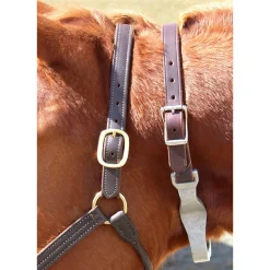INTREPID INTL Cribbing & Muzzles|Best Friend® Hinged Cribbing Strap