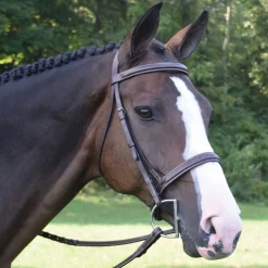 KL SELECT English Bridles|Black Oak Spruce Hunter Bridle