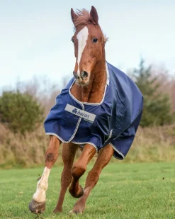 TOKLAT ORIGINALS Turnout Blankets|Bucas Atlantic 200 Gram Turnout Blanket