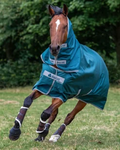 TOKLAT ORIGINALS Blanket Wash & Accessories|Bucas Atlantic Combi Neck Cover - 50 Grams