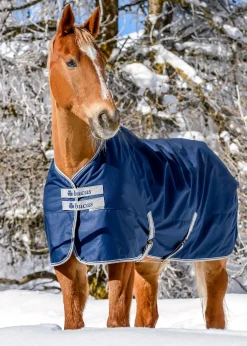 TOKLAT ORIGINALS Turnout Blankets|Bucas Freedom Extra Heavy Turnout Blanket