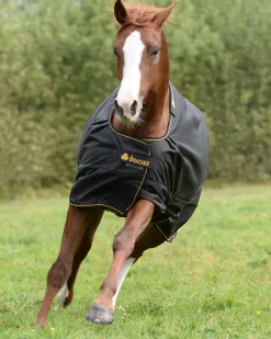 TOKLAT ORIGINALS Turnout Blankets|Bucas Irish Classic Lightweight Turnout Blanket