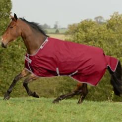 TOKLAT ORIGINALS Turnout Blankets|Bucas Irish Classic Lightweight Turnout Blanket
