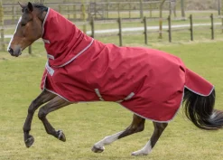 TOKLAT ORIGINALS Turnout Blankets|Bucas Irish Extra Classic Heavyweight Turnout Blanket