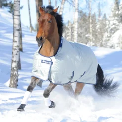 TOKLAT ORIGINALS Turnout Blankets|Bucas Power All-In-One Classic Heavyweight Turnout Blanket