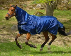 TOKLAT ORIGINALS Turnout Sheets|Bucas Smartex Combi Neck Cover