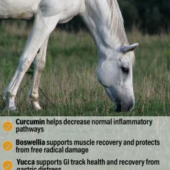 ANIMAL HEALTH INT Horse Supplements|Bute-Less® Performance Comfort & Recovery Pellets