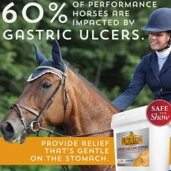 ANIMAL HEALTH INT Horse Supplements|Bute-Less® Performance Comfort & Recovery Pellets