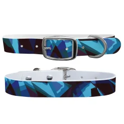 SWYFT PRINTS/C4 Collars & Leashes|C4 Dog Collar