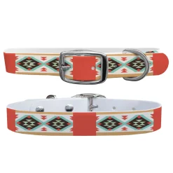 SWYFT PRINTS/C4 Collars & Leashes|C4 Dog Collar