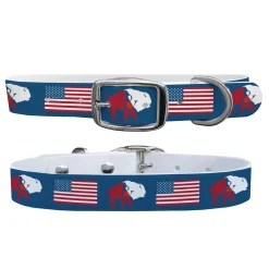 SWYFT PRINTS/C4 Collars & Leashes|C4 Dog Collar