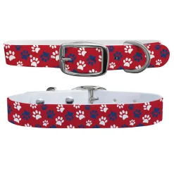 SWYFT PRINTS/C4 Collars & Leashes|C4 Dog Collar