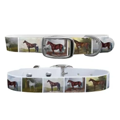 SWYFT PRINTS/C4 Collars & Leashes|C4 Equine Print Dog Collar