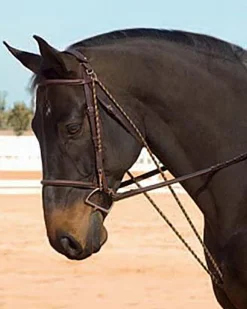 ERS Lunging & Training Equipment|Camelot™ Chambon