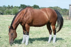 CASHEL COMPANY Fly Control|Fly Boots|Cashel® Leg Guards - Set of 4