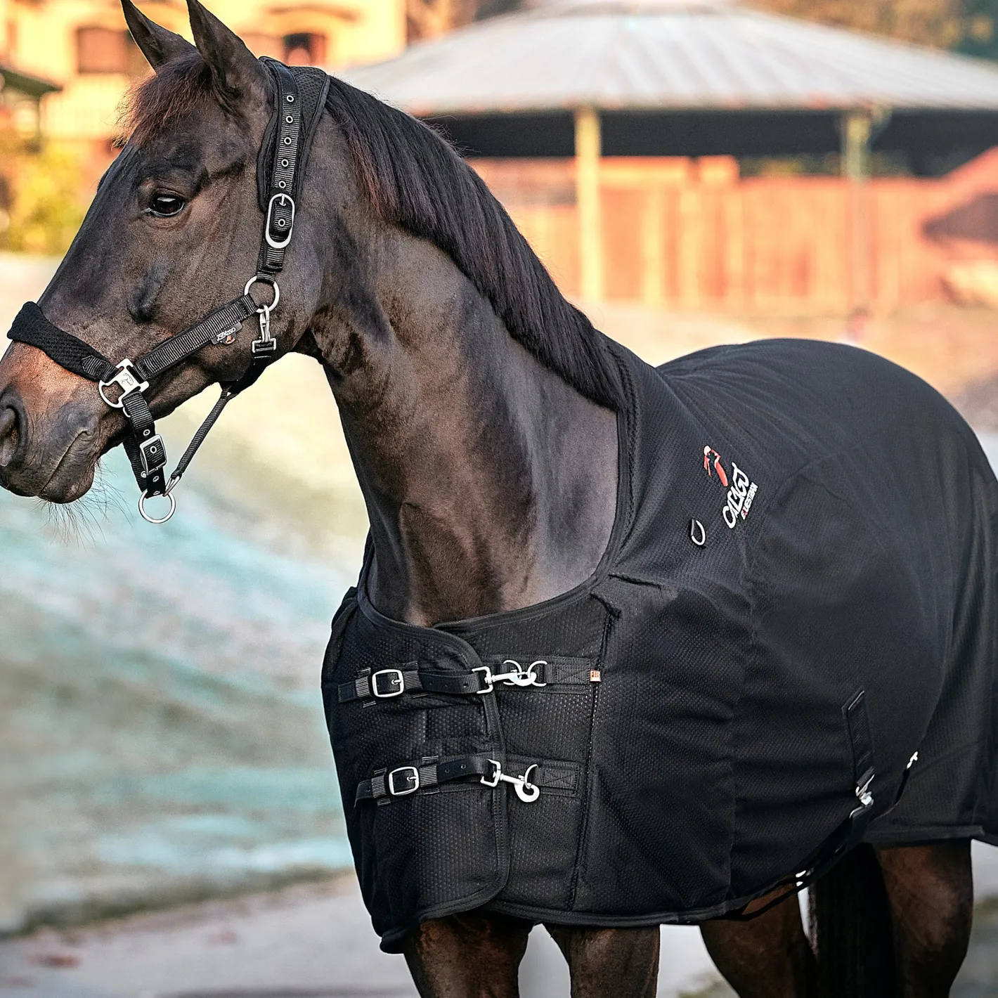 ERS Therapy|Hoof & Hock Boots|Catago® FIR-Tech Rug